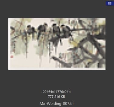 马未定 马未定 #007
