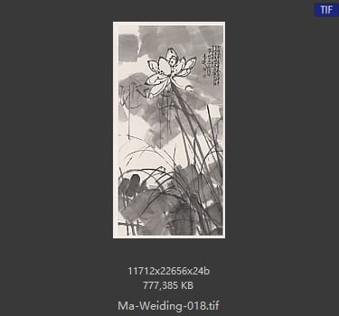 马未定 马未定 #018