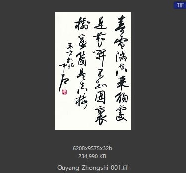 欧阳中石 欧阳中石 #001