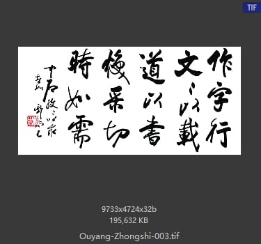 欧阳中石 欧阳中石 #003