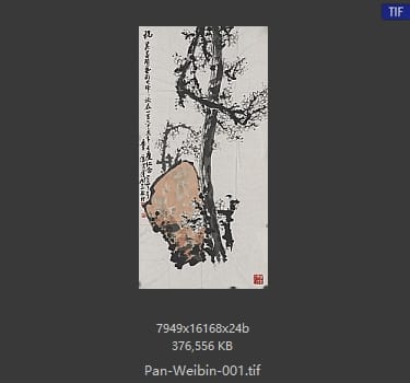 潘渭滨 巨石白梅图