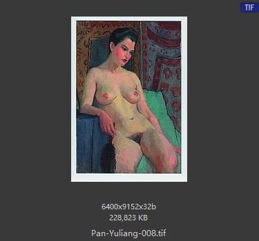 潘玉良 持黑色掸子的裸女