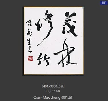 钱茂生 钱茂生 #001