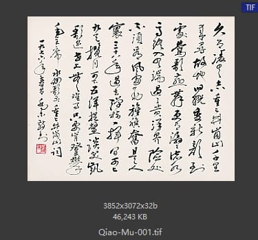 乔木 乔木 书法