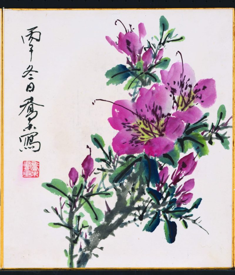 杜鹃花