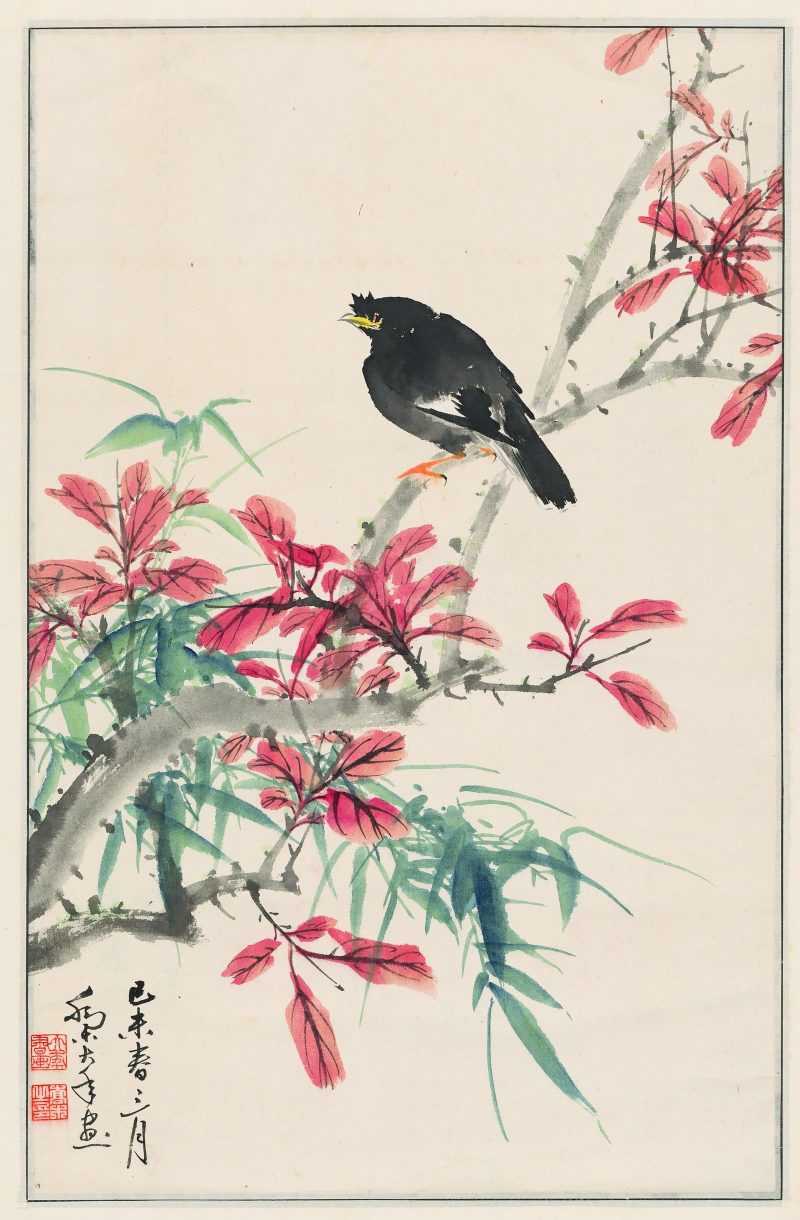 红枫小鸟