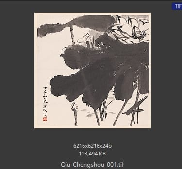 邱受成 荷花图