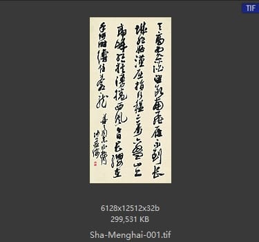 沙孟海 沙孟海 书法