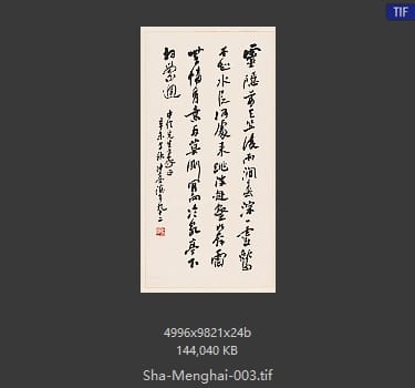 沙孟海 沙孟海 书法