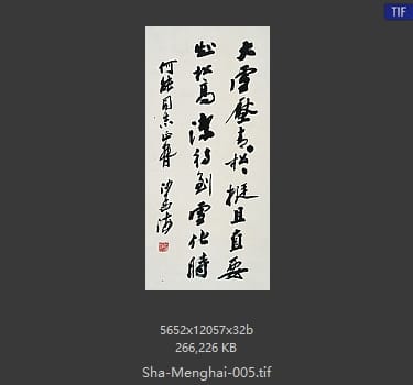 沙孟海 沙孟海 书法