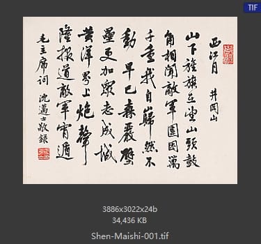 沈迈士 西江月