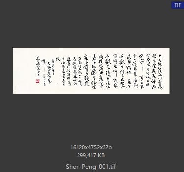 沈鹏 沈鹏 书法作品