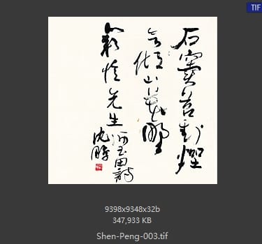沈鹏 沈鹏 书法作品