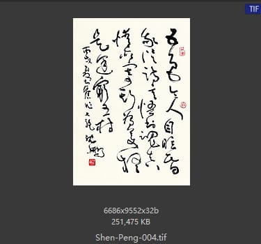沈鹏 沈鹏 书法作品