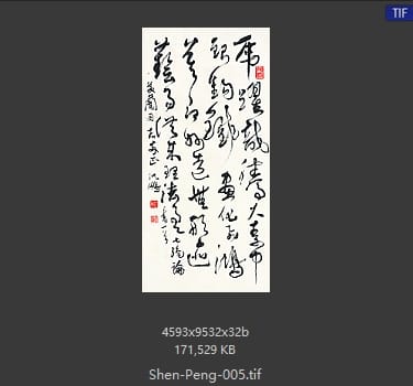 沈鹏 沈鹏 书法作品