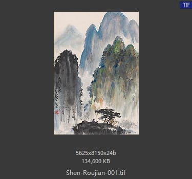 沈柔坚 沈柔坚 #001
