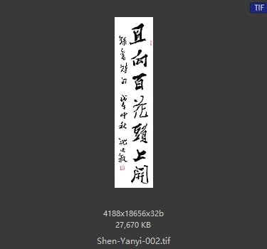 沈延毅 沈延毅 #002