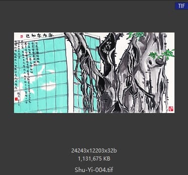 舒乙 最贵的树