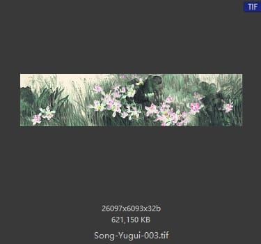 宋雨桂 宋雨桂 荷花