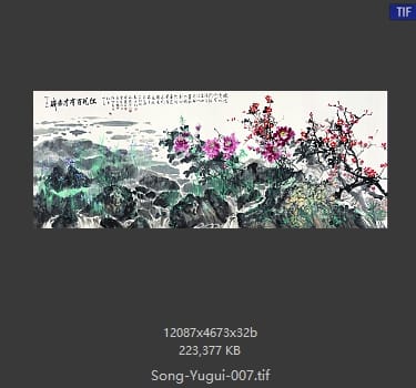 宋雨桂 宋雨桂 盛世才有百花红