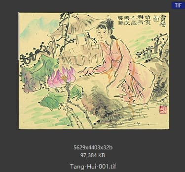 唐辉 赏菏图