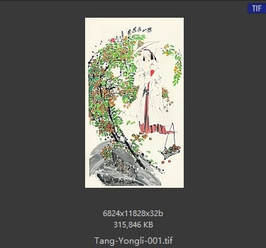 唐勇力 唐勇力 工笔精品