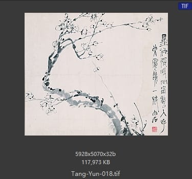 唐云 唐云 #018