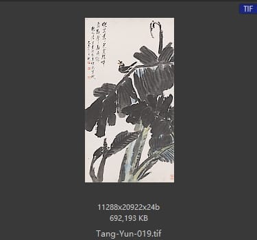 唐云 唐云 #019
