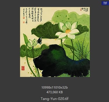 唐云 唐云 #020