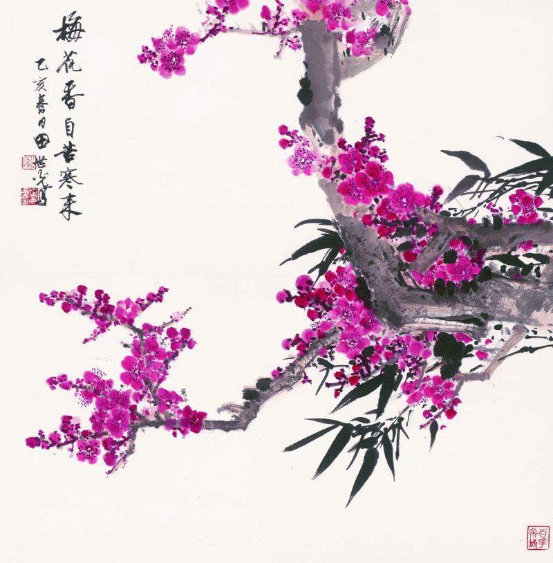 梅花香自苦寒来