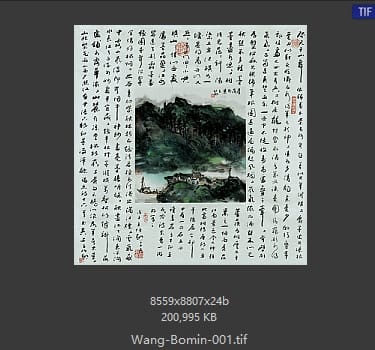 王伯敏 咫尺千山