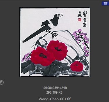 王超 报喜图