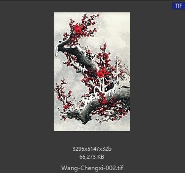 王成喜 梅