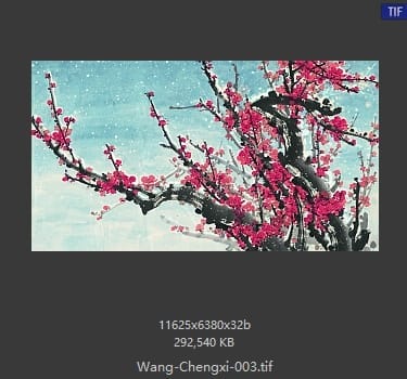 王成喜 梅花