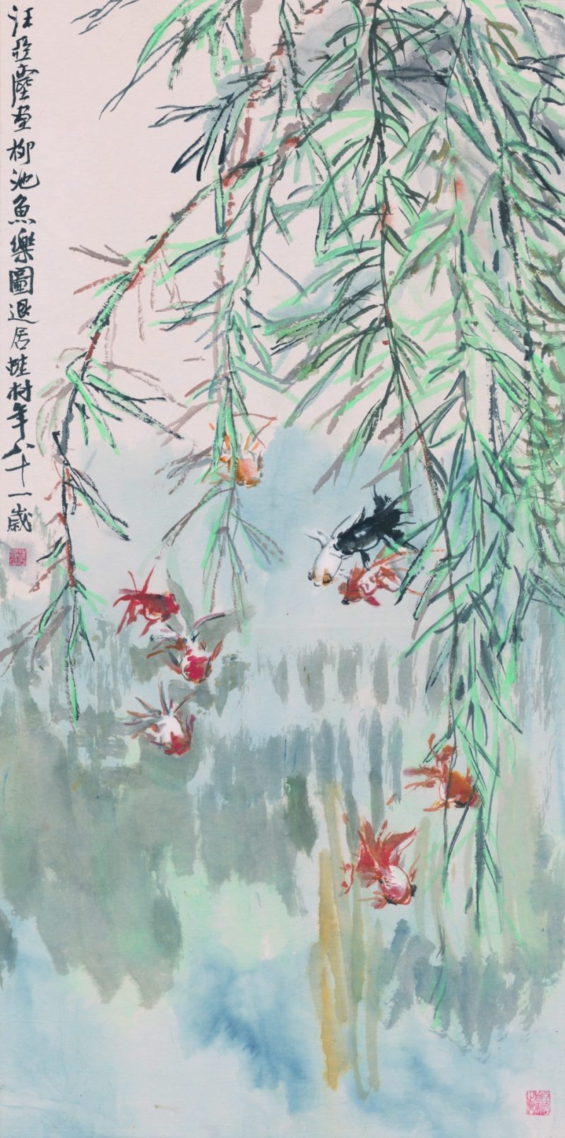 金鱼