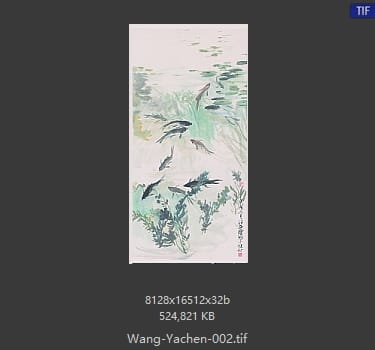 汪亚尘 鱼