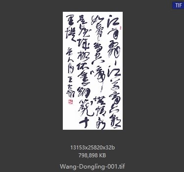 王冬龄 王冬龄 #001